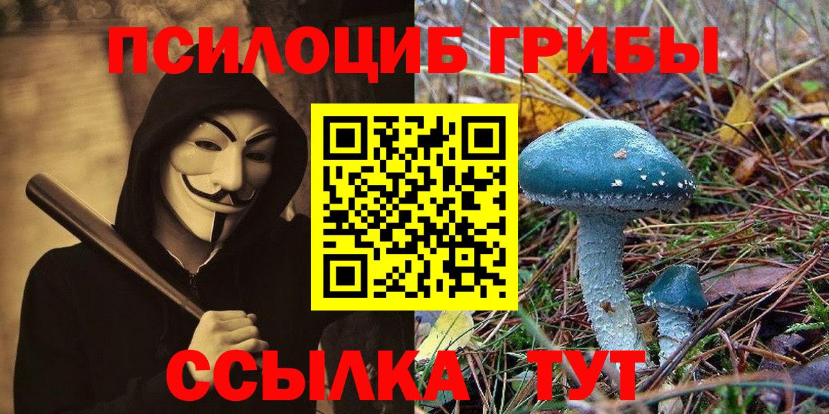 Галлюциногенные грибы мухоморы  Вход с VPN  наркота  Новочеркасск 